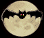 anibat1-5.gif