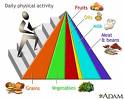 foodguidepyramid.jpeg
